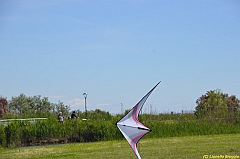 Venice kite festival_0092